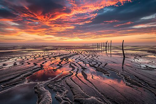 Wadden