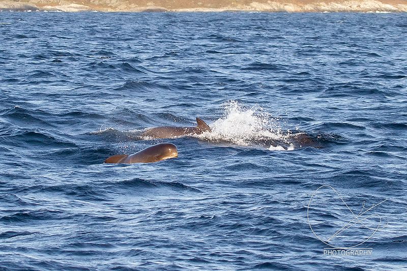 I dag stengjer studioet kl 14:15