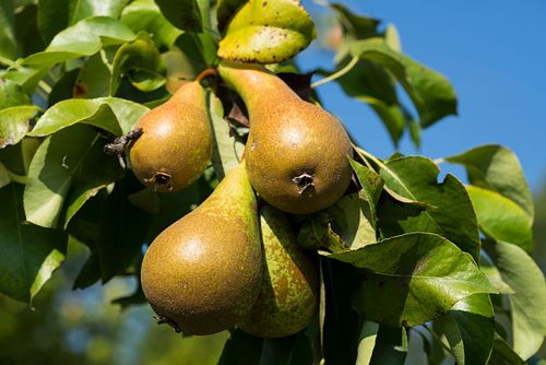 Auf dem Hof Einisberg