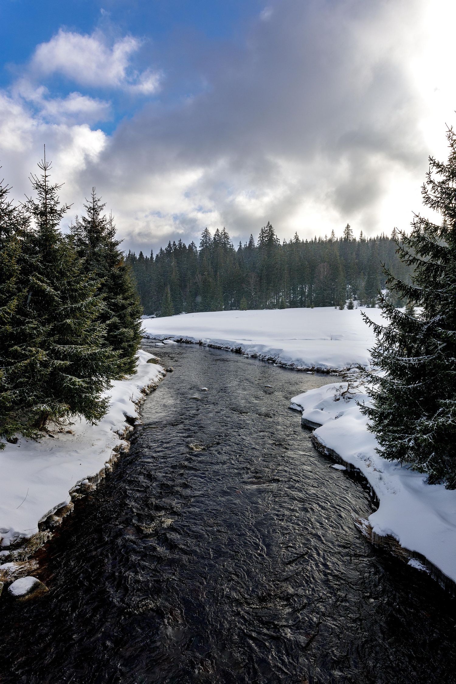 La riviere dans la neige