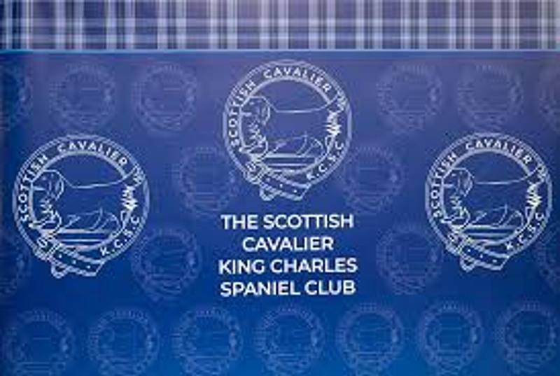 The Scottish Cavalier King Charles Spaniel Club - Open Show 2026