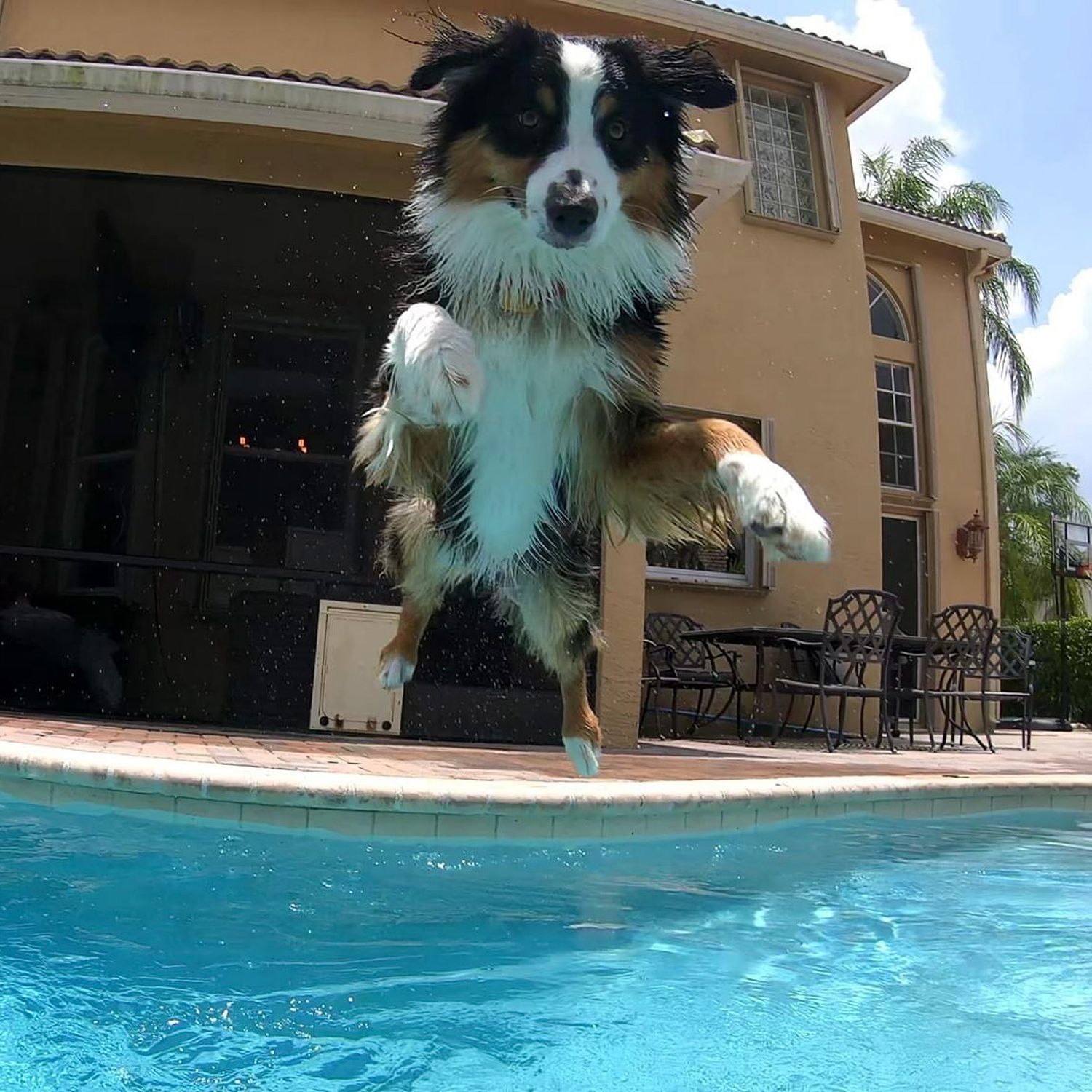 Eric Goldstein Photography