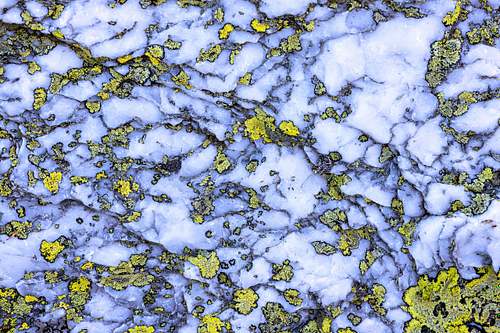 SiO2 vs. Lichens