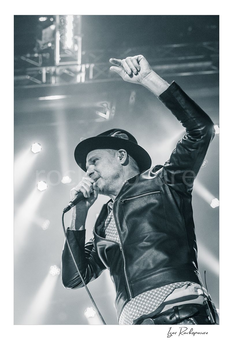 GORD DOWNIE / TRAGICALLY HIP