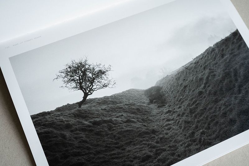 The Killing Ditch - Unsigned