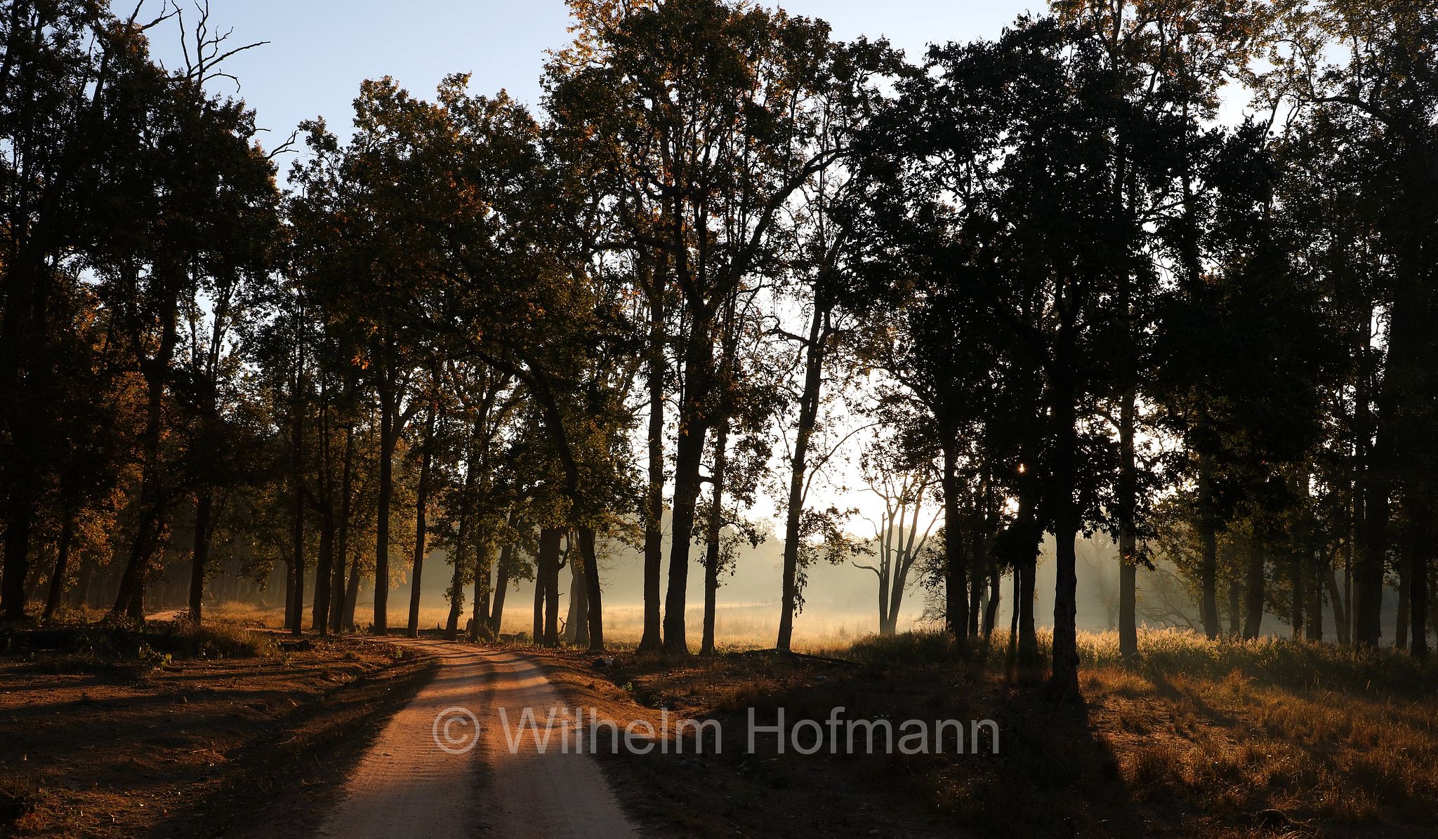 Kanha Tiger Reserve, Kanha–Kisli National Park, Kanha National Park, Kanha-Nationalpark, parco nazionale di Kanha, Madhya Pradesh, India, Indien