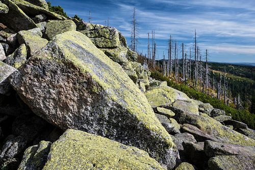 Auf dem Dreisesselbarg