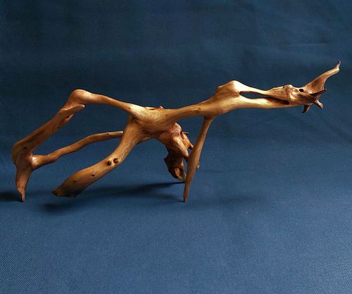 Secret service agent