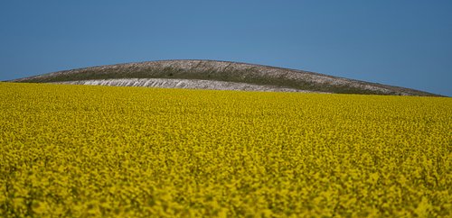 Scouting trip voor Denemarken/Jutland