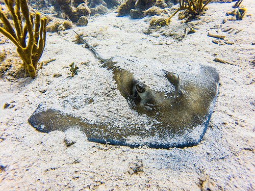FIND USVI.Photos