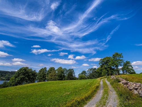 The Road less Traveled