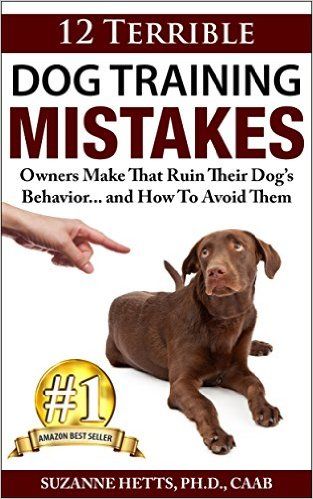 12 Dog Training Mistakes