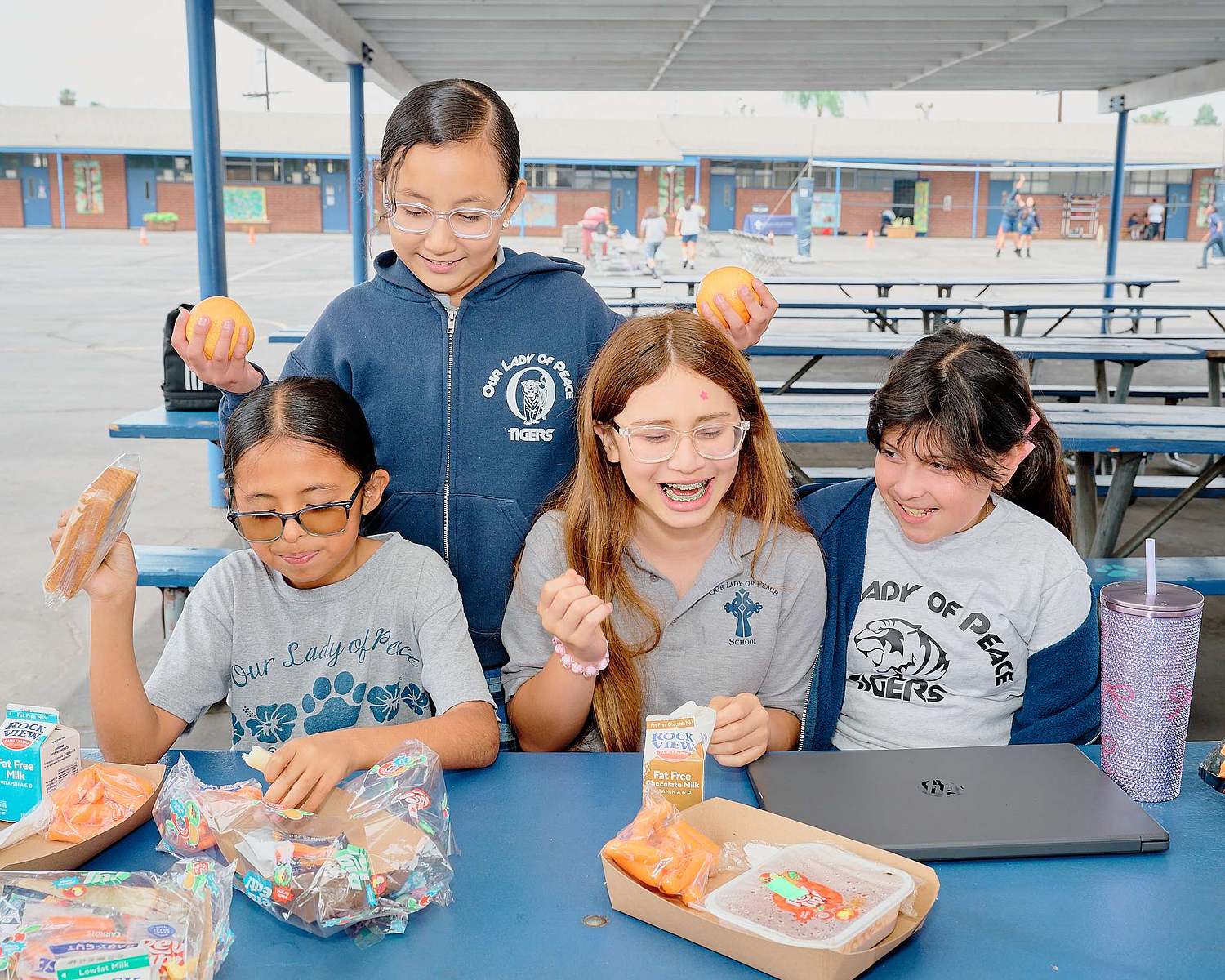 OLPEACESCHOOL