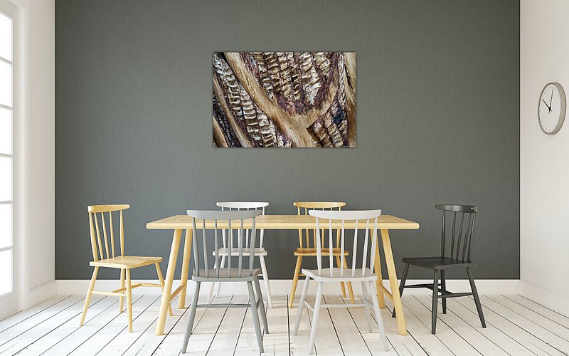 Architectuur van Verval