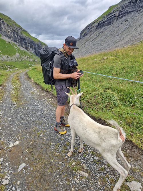 Mein Bezug zu Tieren