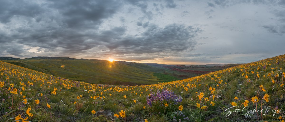Last Light