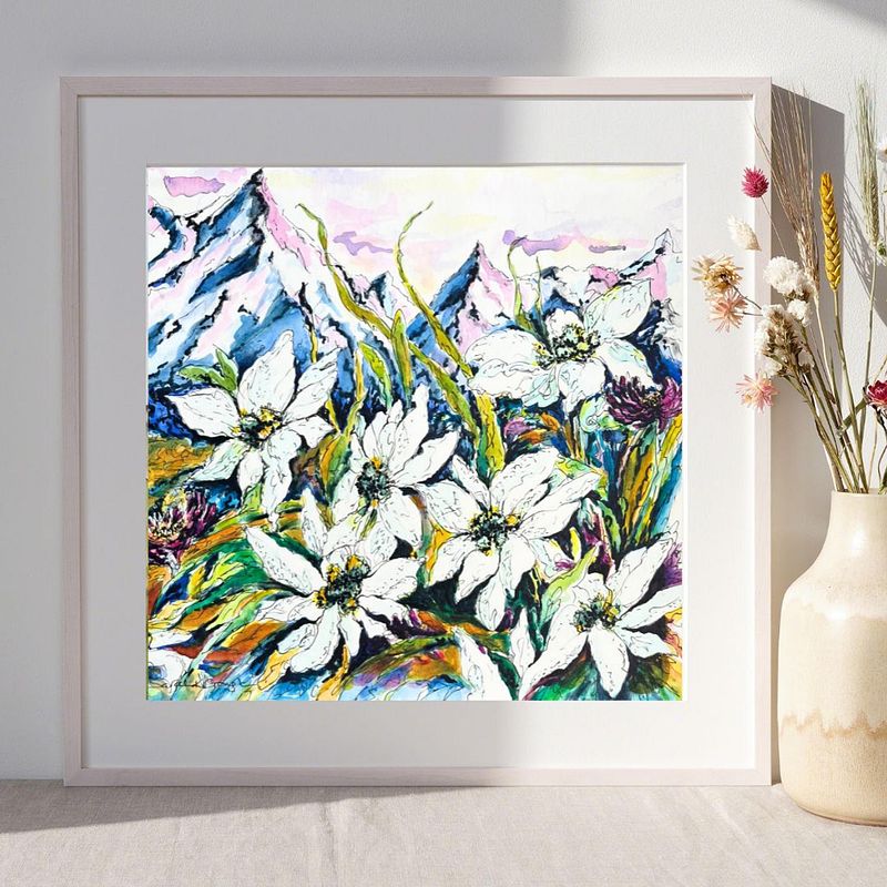 White Edelweiss Alpine Mountain Wild Flowers- Original Watercolour and Pen Illustration