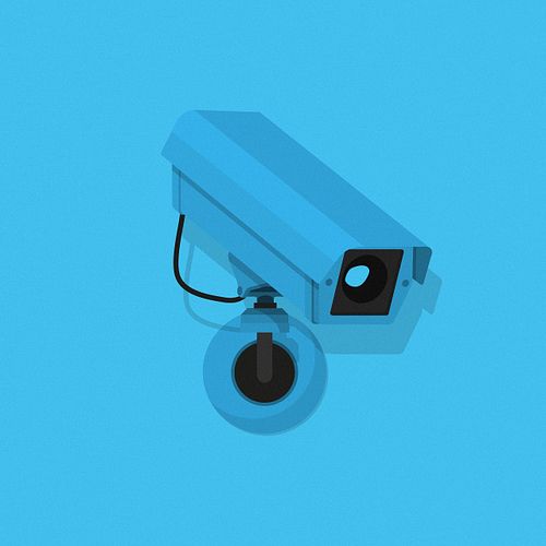 The Camera