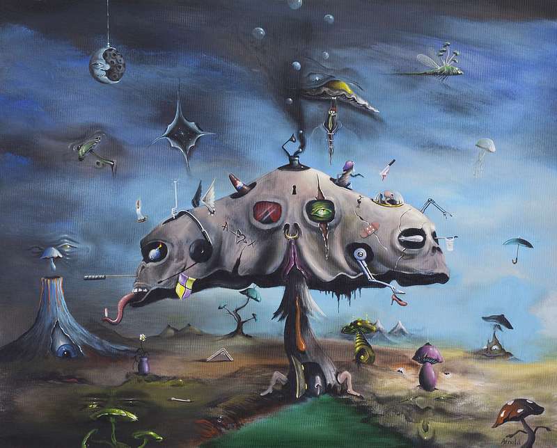 Arnold Janssen - Magic Mushroom - No longer available