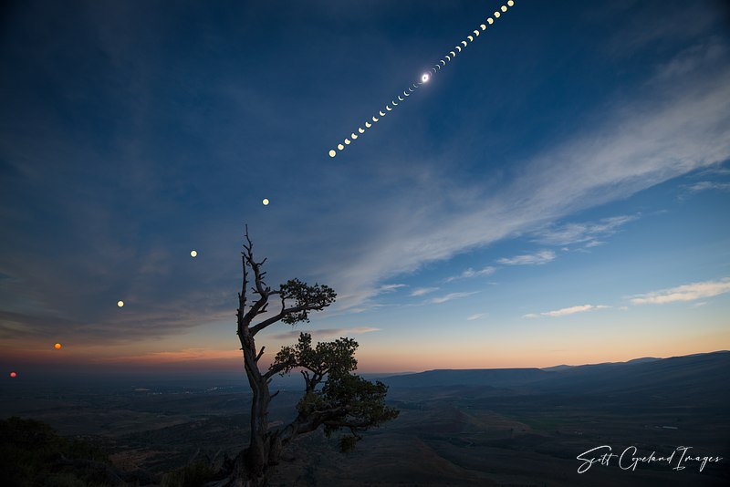 Celestial Skies