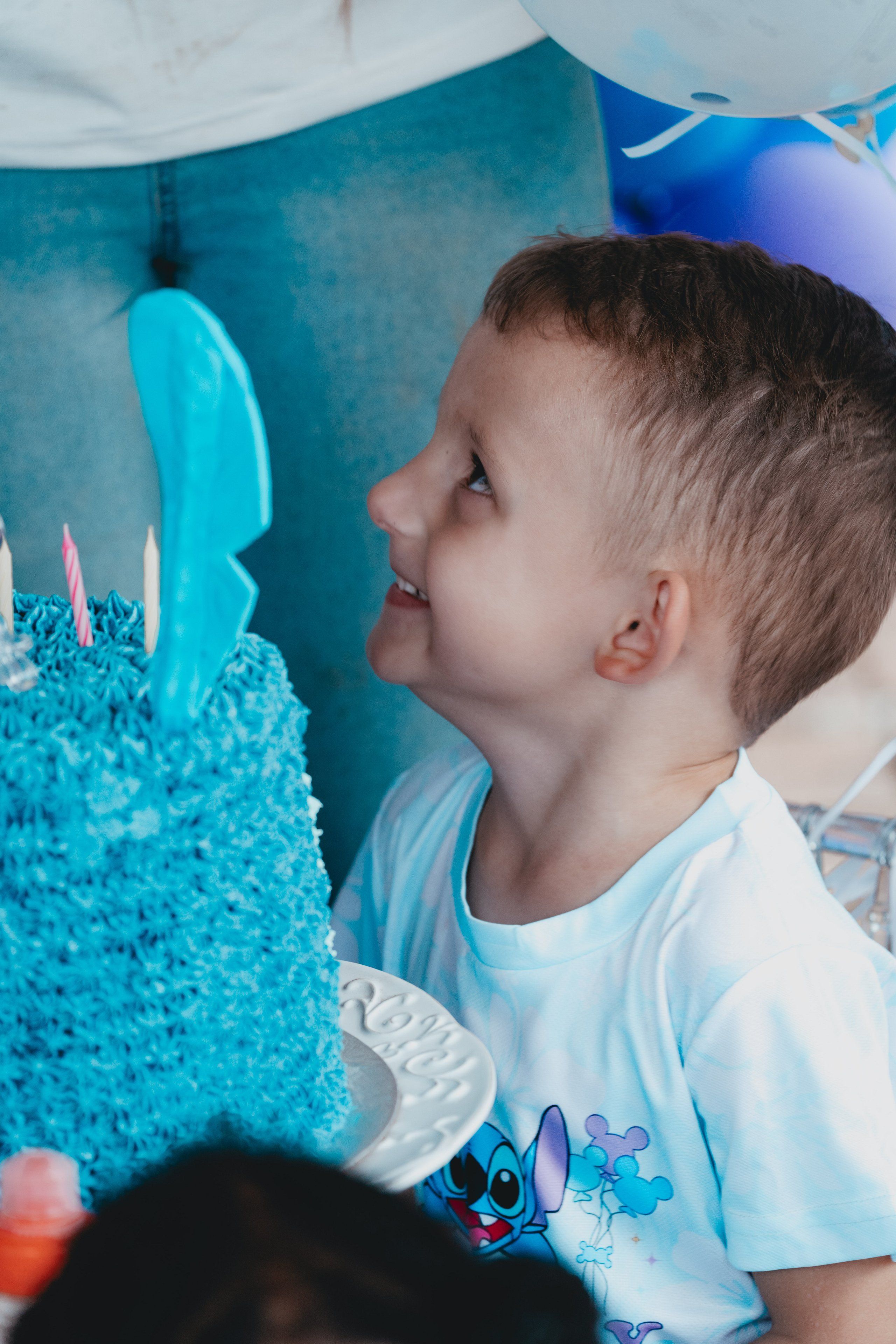 Stitch - #rd Birthday Celebration.