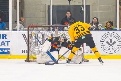 Leeds Knights 4 vs 1 Berkshire Bees