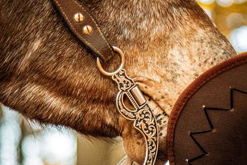 Bereit f&uuml;r eure Geschichte?