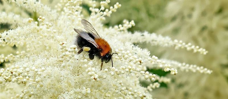 Ute på oppdrag, fredag