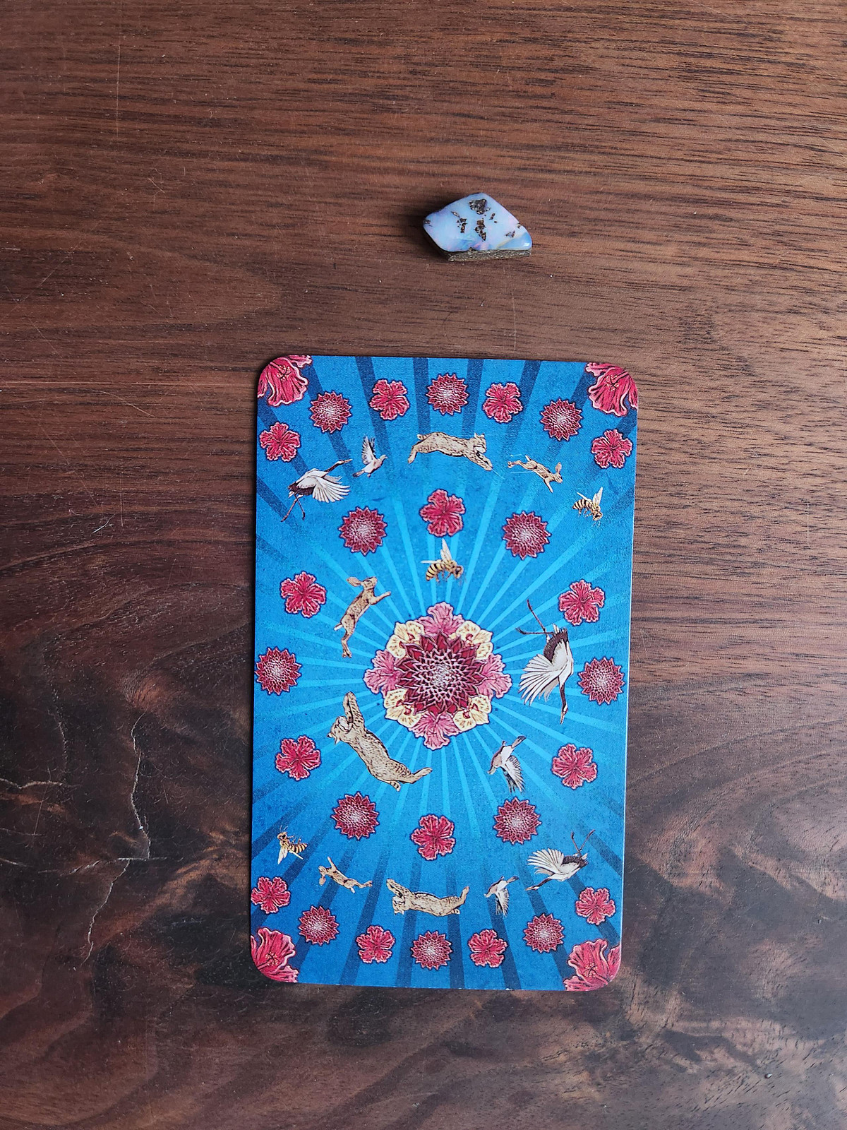 Animal Totem Tarot Card and Boulder Opal Stone