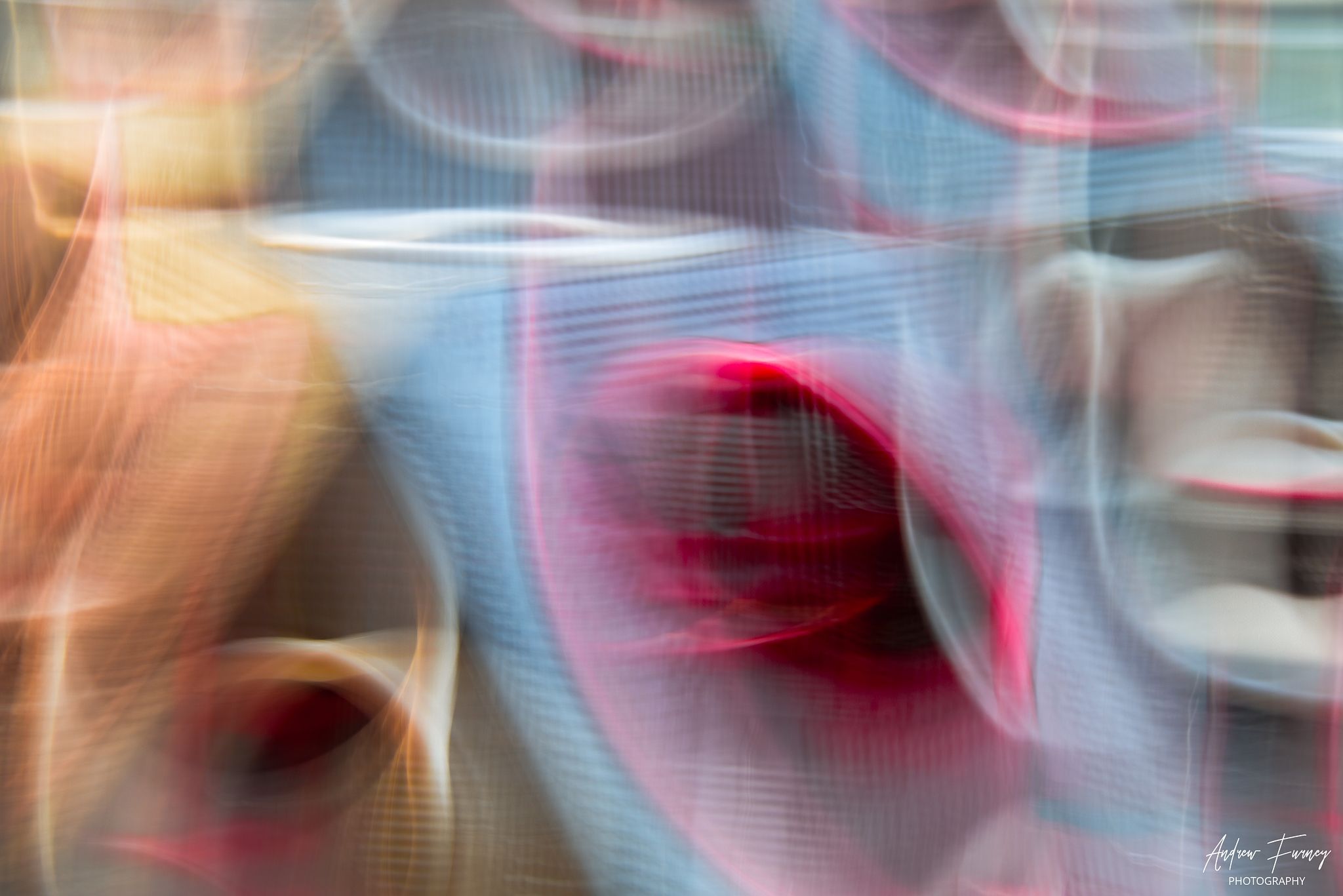 Abstract & Fine Art