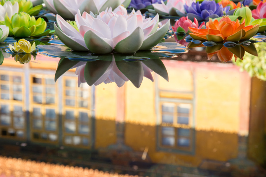 Lotus flowers in water and Tibetan Johkang temple reflected in the water