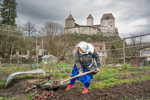 Im  HEKS-Garten Burgdorf