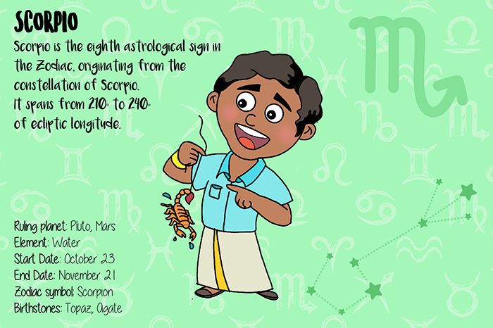 ZODIAC SIGNS - 12 CARDS