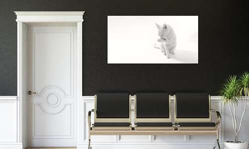 Decoration for Your Hospital