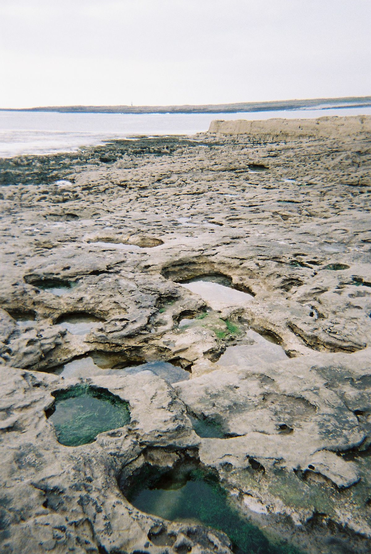 tide pools, inishmore, aran islands, ireland