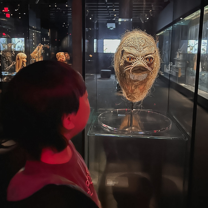 The Curious Path of a Creature Lover