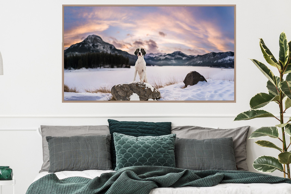 a photograph of a master bedroom that has large piece of wall art of a boxer at sunset with the Kanananskis mountains in the background. She is standing with her front paws on the rock and the back paws on the ground behind her.