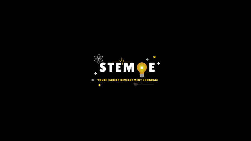Stem E