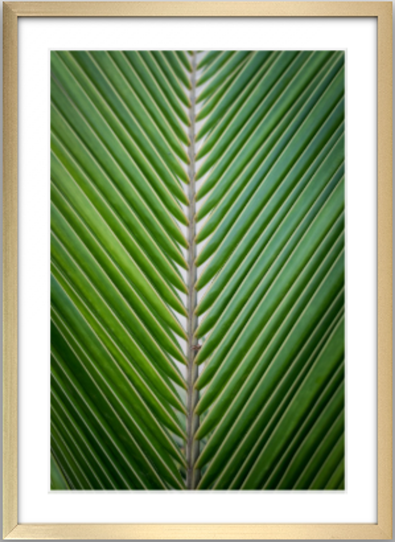 SIMETRÍA VERDE