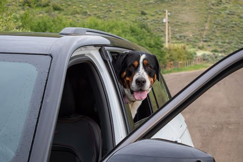 Culture, Events & Travel