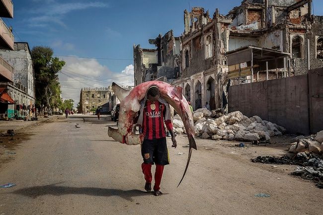 Todo sobre los premios de fotografía