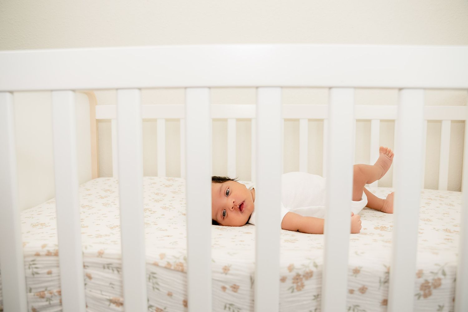 Charlotte Photographer