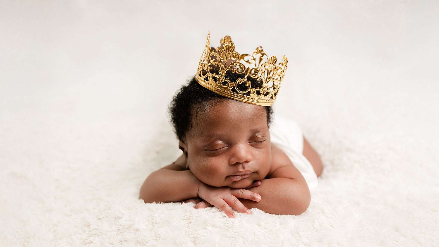 Charlotte Photographer