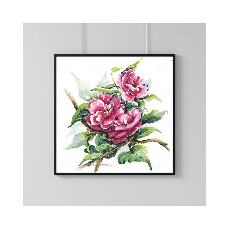 Pink Camellia Flowers