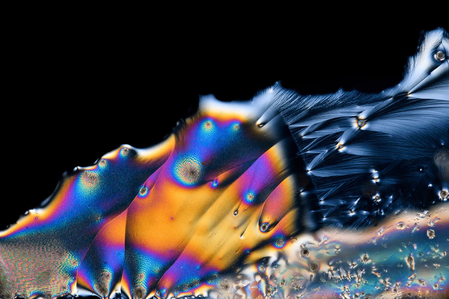 Rashed Alsumaiti's offical website