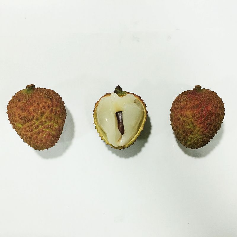 Fruits of Life Series (2014)