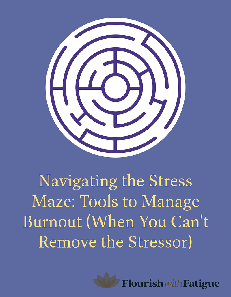 Navigating the Stress Maze: Tools to Manage Burnout (When You Can't Remove the Stressor)