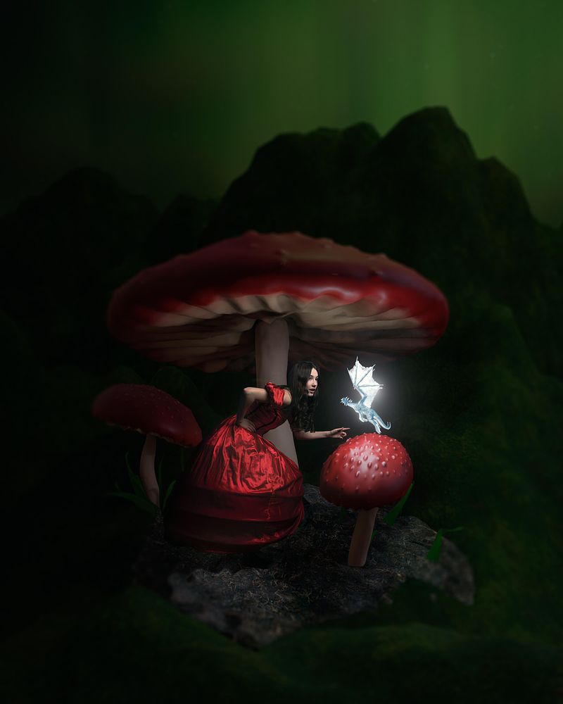 Portrait Story: Mushroom World