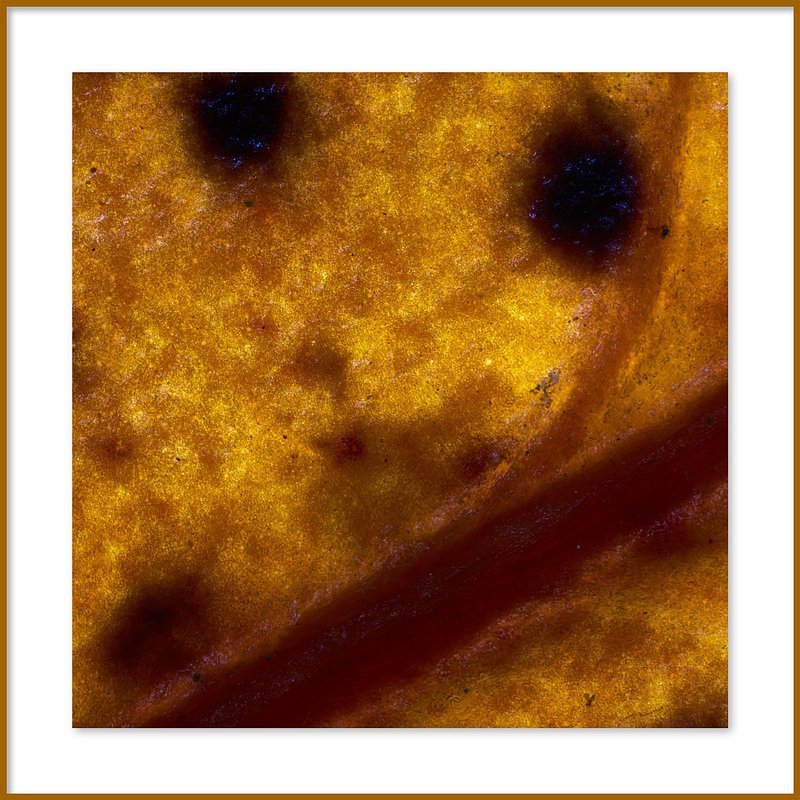 Gouden Tijdperk in Verval