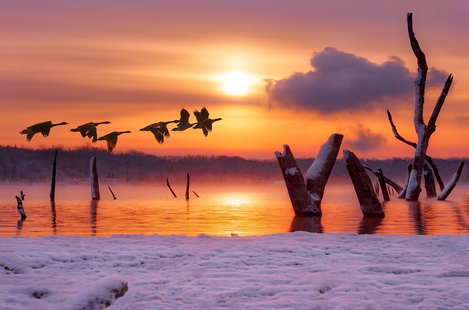 A Winter Morning